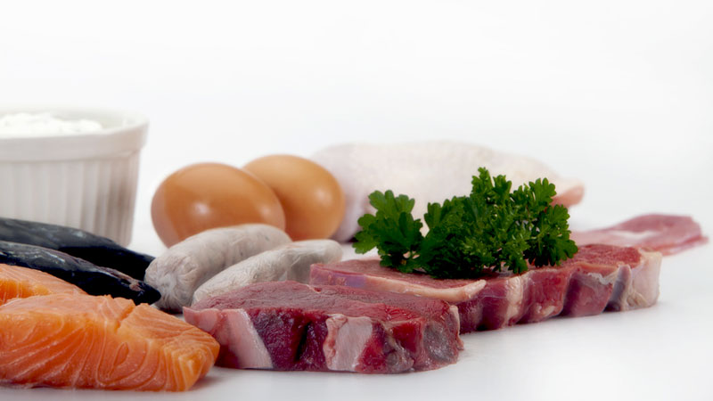 Proteinreiche Nahrung Proteinreiche Nahrung
